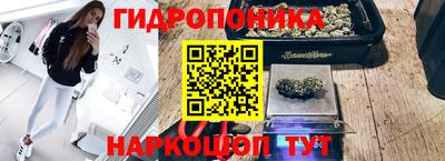 MDMA Кингисепп