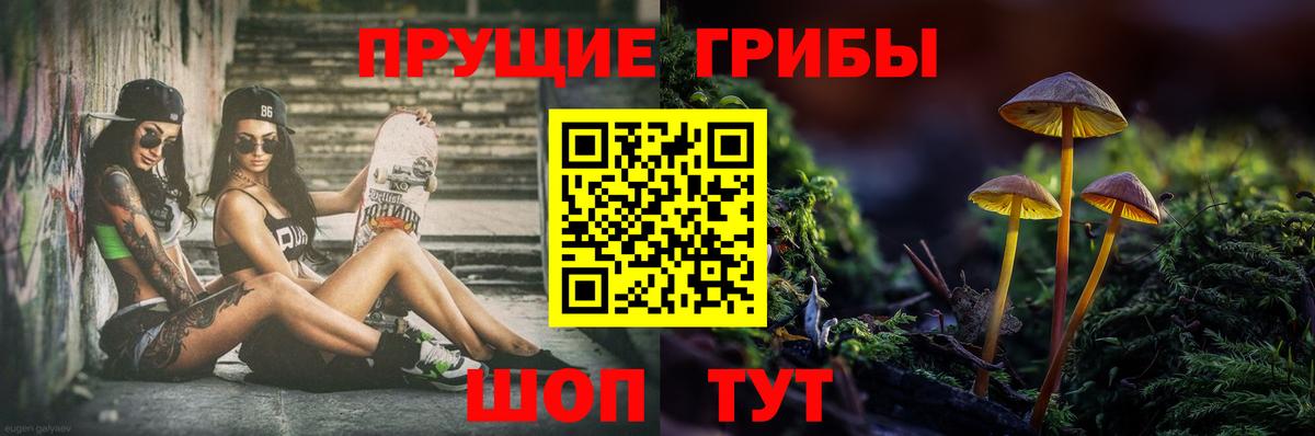 Галлюциногенные грибы Magic Shrooms  Галлюциногенные грибы Psilocybe  Вход с VPN  Королёв 